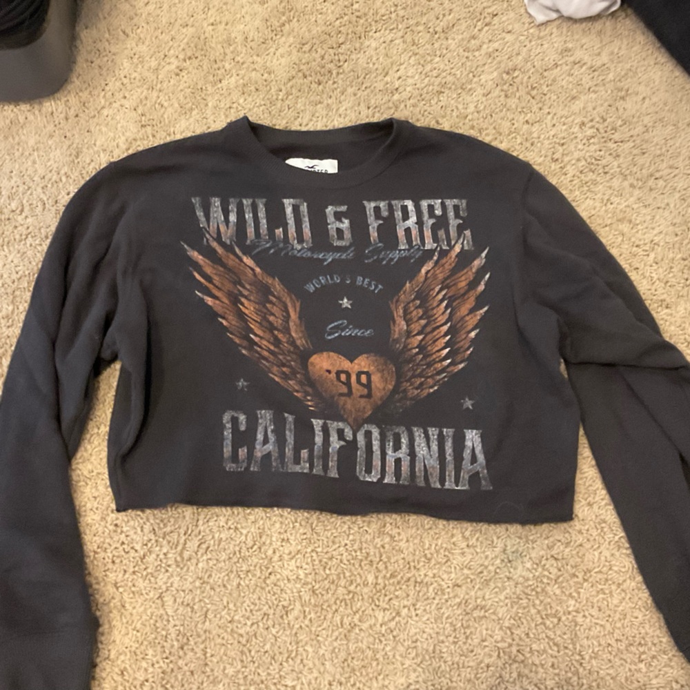 Hollister wild and free cropped soft long sleeve
